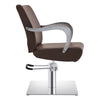 Beauty Salon Hairdressing Styling Chair  Meteor