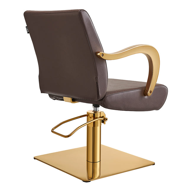 Meteor Gold Salon Styling Chair