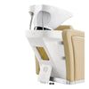 Beauty Salon Backwash Unit with Adjustable Basin & Adjustable Legrest - Anode - DIR Store