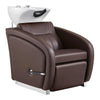 Beauty Salon Backwash Unit with Adjustable Basin & Adjustable Legrest - Anode - DIR Store