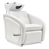 Beauty Salon Backwash Unit with Adjustable Basin & Adjustable Legrest - Anode - DIR Store