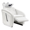 Beauty Salon Backwash Unit with Adjustable Basin & Adjustable Legrest - Anode - DIR Store