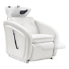 Beauty Salon Backwash Unit with Adjustable Basin & Adjustable Legrest - Anode - DIR Store