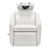 Beauty Salon Backwash Unit with Adjustable Basin & Adjustable Legrest - Anode - DIR Store
