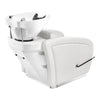 Beauty Salon Backwash Unit with Adjustable Basin & Adjustable Legrest - Anode - DIR Store