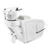 Beauty Salon Backwash Unit with Adjustable Basin & Adjustable Legrest - Anode - DIR Store