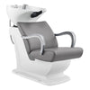 Salon Backwash Unit with Basin & Adjustable Seat -Grey Beckman - DIR Store