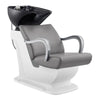 Salon Backwash Unit with Basin & Adjustable Seat -Grey Beckman - DIR Store