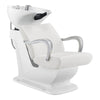 Salon Backwash Unit with Basin & Adjustable Seat -Grey Beckman - DIR Store