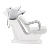 Salon Backwash Unit with Basin & Adjustable Seat -Grey Beckman - DIR Store