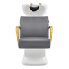 Salon Backwash Unit with Adjustable Sink & Seat - White Base Beckman Gold - DIR Store