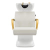 Salon Backwash Unit with Adjustable Sink & Seat - White Base Beckman Gold - DIR Store
