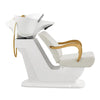 Salon Backwash Unit with Adjustable Sink & Seat - White Base Beckman Gold - DIR Store