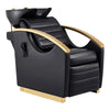 Beauty Salon Electrical Massage Backwash Unit with Adjustable Basin and Seat- Bella Gold Backwash - DIR Store