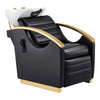Beauty Salon Electrical Massage Backwash Unit with Adjustable Basin and Seat- Bella Gold Backwash - DIR Store