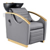Beauty Salon Electrical Massage Backwash Unit with Adjustable Basin and Seat- Bella Gold Backwash - DIR Store