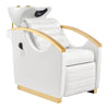 Beauty Salon Electrical Massage Backwash Unit with Adjustable Basin and Seat- Bella Gold Backwash - DIR Store