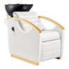 Beauty Salon Electrical Massage Backwash Unit with Adjustable Basin and Seat- Bella Gold Backwash - DIR Store