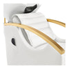 Beauty Salon Electrical Massage Backwash Unit with Adjustable Basin and Seat- Bella Gold Backwash - DIR Store