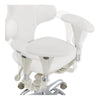 Beauty Clinic Stool with Multi-Function - Hazel - DIR Store