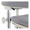 Beauty Clinic Stool with Multi-Function - Willow - DIR Store