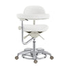 Beauty Clinic Stool with Multi-Function - Willow - DIR Store