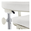 Beauty Clinic Stool with Multi-Function - Willow - DIR Store