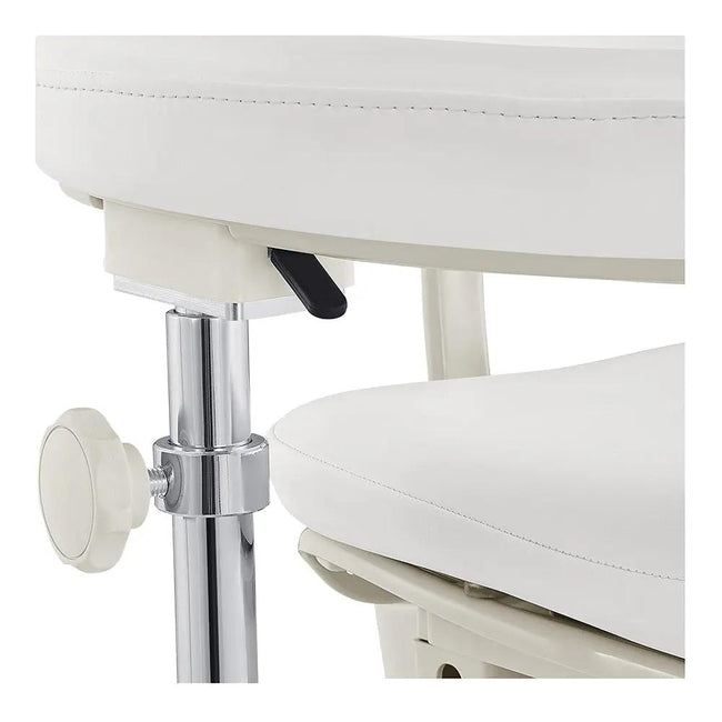 Beauty Clinic Stool with Multi-Function - Willow - DIR Store