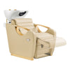 Gold Salon Backwash Unit with Basin - Electric Adjustable Legrest Extension - Victoria DIR Store