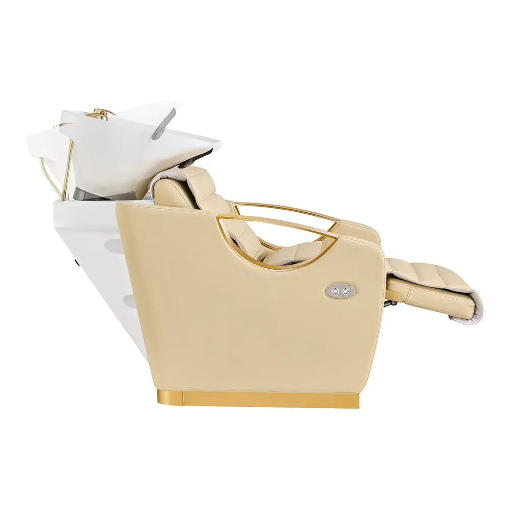 Gold Salon Backwash Unit with Basin - Electric Adjustable Legrest Extension - Victoria DIR Store