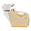 Gold Salon Backwash Unit with Basin - Electric Adjustable Legrest Extension - Victoria DIR Store