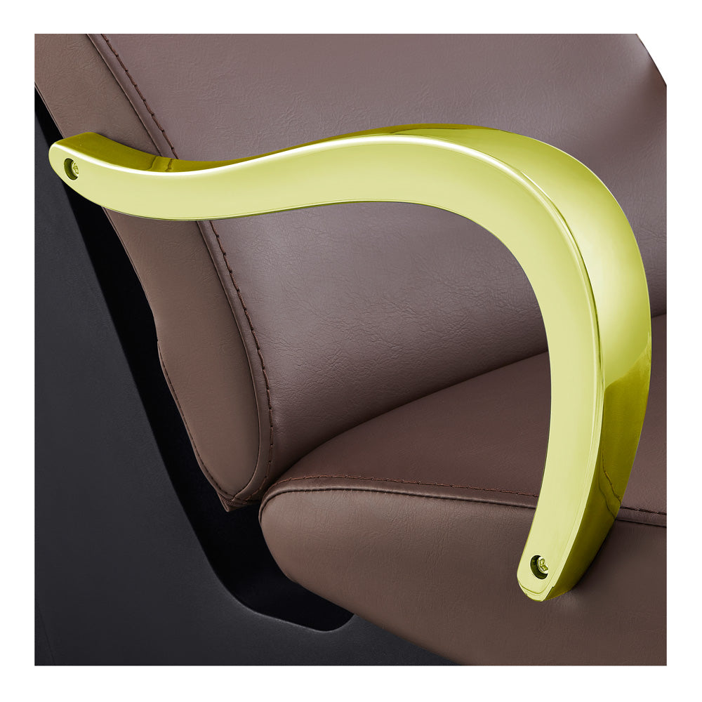 Beauty Salon Backwash Unit with Adjustable Basin & Seat - Beckman Gold Backwash Unit DIR Store