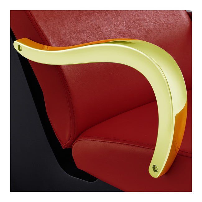 Beauty Salon Backwash Unit with Adjustable Basin & Seat - Beckman Gold Backwash Unit DIR Store