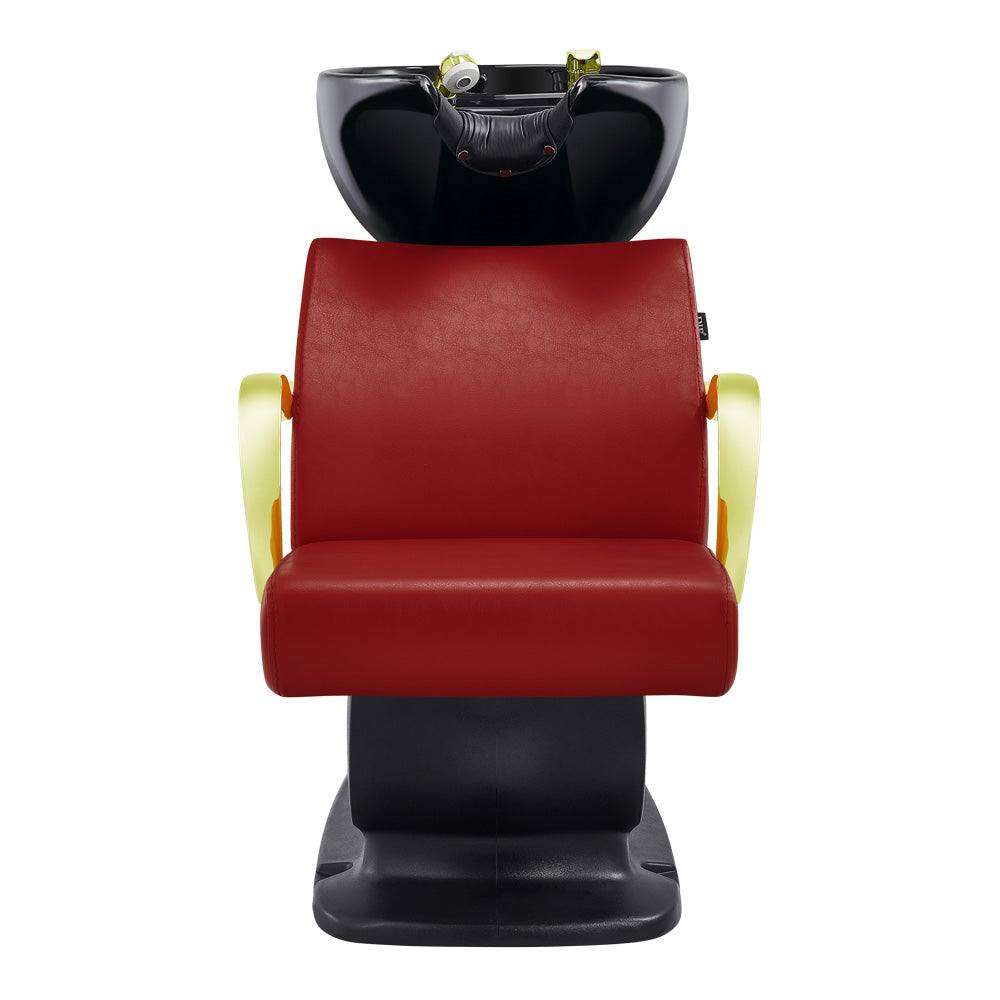 Beauty Salon Backwash Unit with Adjustable Basin & Seat - Beckman Gold Backwash Unit DIR Store