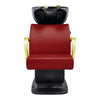 Beauty Salon Backwash Unit with Adjustable Basin & Seat - Beckman Gold Backwash Unit DIR Store