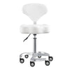 Beauty Stool with Adjustable Backrest and Swivel - Zen - DIR Store