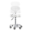 Beauty Stool with Adjustable Backrest and Swivel - Zen - DIR Store