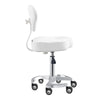 Beauty Stool with Adjustable Backrest and Swivel - Zen - DIR Store