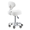 Beauty Stool with Adjustable Backrest and Swivel - Zen - DIR Store