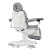 Gynecology Bed Chair with Leg Stirrups Support - Ink OB 3-Motors Examination Chair with Stirrups - DIR Store