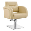 Salon Chair - Anodic Styling Chair - DIR Store