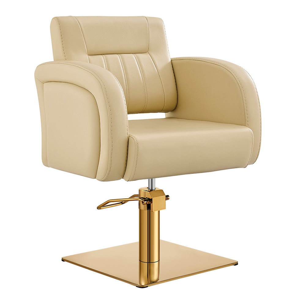 Salon Chair - Anodic Styling Chair DIR Store