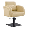 Salon Chair - Anodic Styling Chair DIR Store