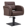 Salon Chair - Anodic Styling Chair DIR Store