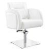 Salon Chair - Anodic Styling Chair - DIR Store