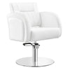 Salon Chair - Anodic Styling Chair - DIR Store