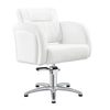 Salon Chair - Anodic Styling Chair - DIR Store