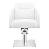 Salon Chair - Anodic Styling Chair - DIR Store