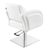 Salon Chair - Anodic Styling Chair - DIR Store