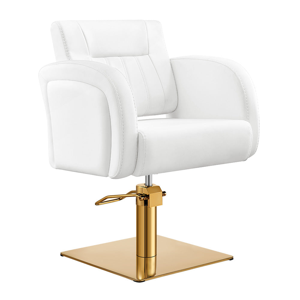 Salon Chair - Anodic Styling Chair DIR Store